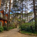 Top 5 homestay Măng Đen đẹp mê ly – giá rẻ – gần gũi thiên nhiên