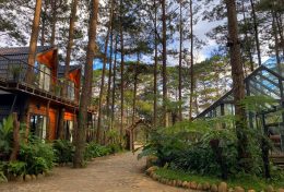 Top 5 homestay Măng Đen đẹp mê ly – giá rẻ – gần gũi thiên nhiên
