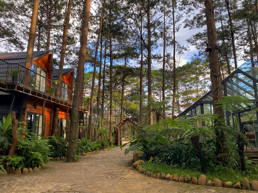 Top 5 homestay Măng Đen - T'măng Đeeng Homestay