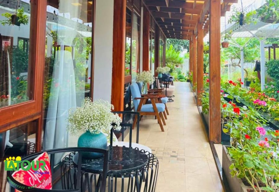Homestay Vườn Trà - Nơi “bỏ phố về vườn” tận hưởng khoảng lặng cuộc sống